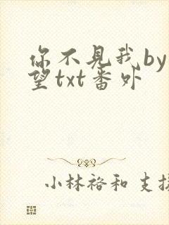 你不见我by在望txt番外封面