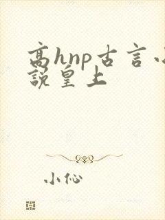 高hnp古言小说皇上封面