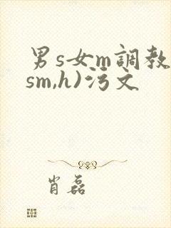 男s女m调教(sm,h)污文