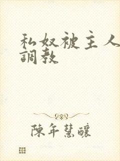 私奴被主人玩弄调教封面