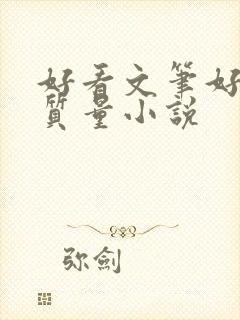 好看文笔好的高质量小说