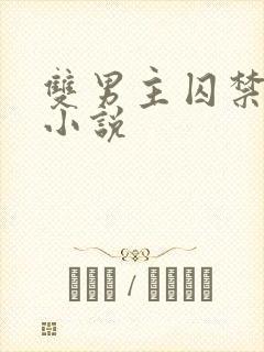 双男主囚禁高h小说