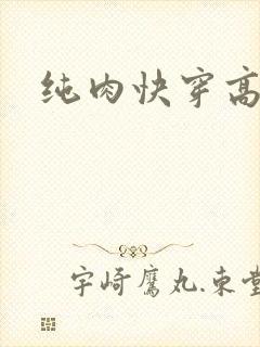 纯肉快穿高h