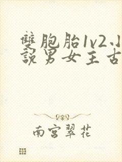 双胞胎1v2小说男女主古言