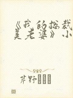 《我的总裁白富美老婆》小说封面