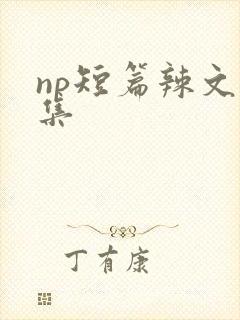 np短篇辣文合集