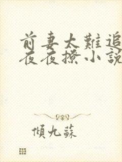 前妻太难追总裁夜夜撩小说作者清婉