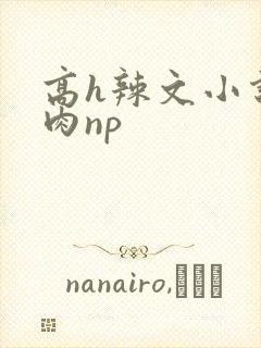 高h辣文小说纯肉np