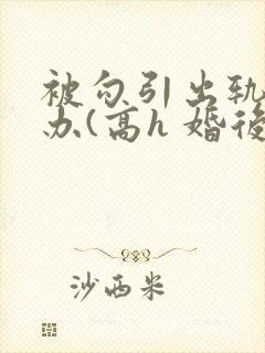 被勾引出轨怎么办(高h 婚后np