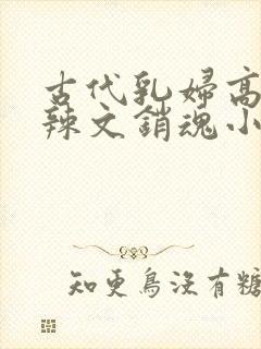 古代乳妇高h肉辣文销魂小妾