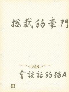 总裁的豪门前妻