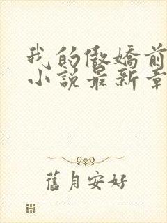 我的傲娇前男友小说最新章节封面