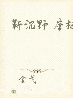 靳沉野 唐栖雾
