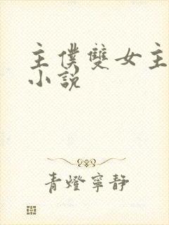 主仆双女主挨打小说