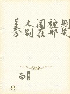 美人图被删减的分别在哪几章封面