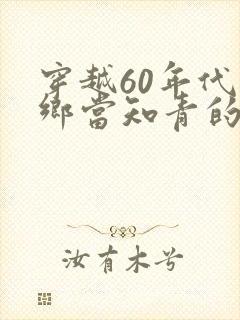 穿越60年代下乡当知青的小说封面