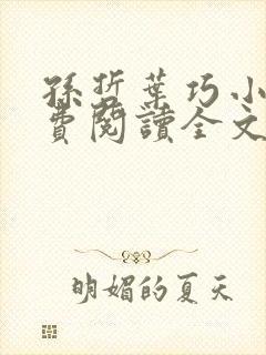 孙哲叶巧小说免费阅读全文