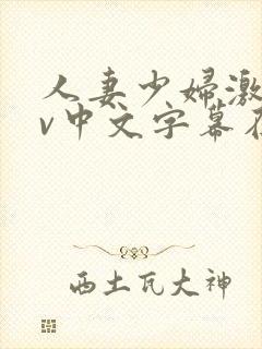 人妻少妇激情av中文字幕在线