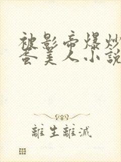 被影帝爆炒的笨蛋美人小说封面