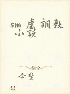 sm 虐 调教 小说