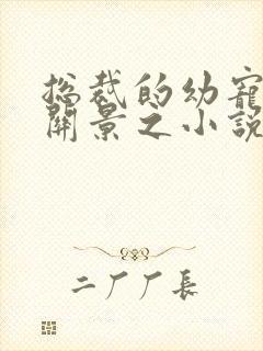 总裁的幼宠by关景之小说完结了吗