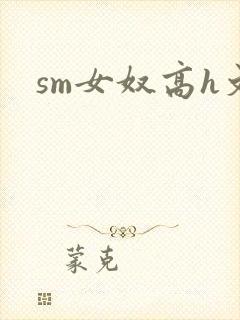 sm女奴高h文