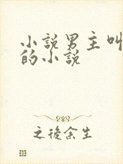 小说男主叫楚风的小说