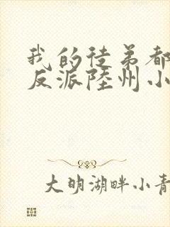 我的徒弟都是大反派陆州小说免费