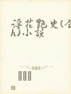 淫花艳史(全黄h)小说