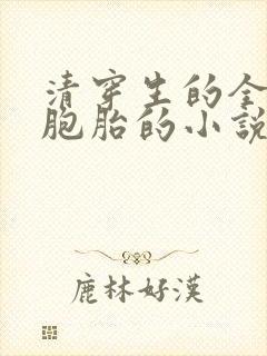 清穿生的全是多胞胎的小说封面