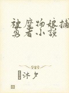 被魔物娘捕食的勇者小说