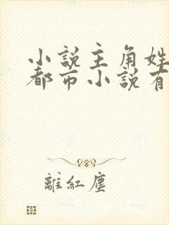 小说主角姓叶的都市小说有哪些封面