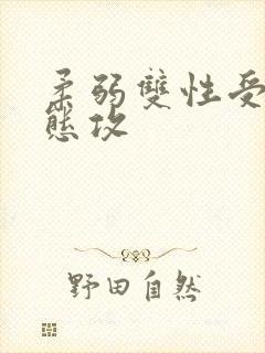 柔弱双性受×变态攻