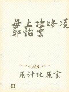 母上攻略凌小东郑怡云封面