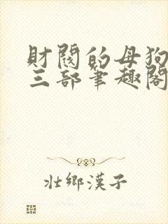 财阀的母狗们第三部笔趣阁小说封面