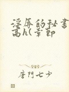 淫辱的秘书调教高h(章节