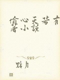 偷心天若有情原著小说封面