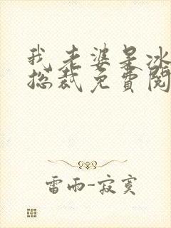 我老婆是冰山女总裁免费阅读最新