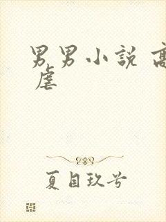 男男小说 高h 虐封面