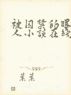 被囚禁的眼盲美人小说在线阅读