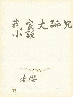 我家大师兄有坑小说