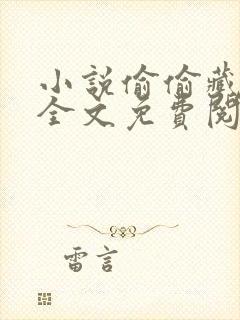 小说偷偷藏不住全文免费阅读免费