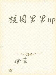 校园男男np文