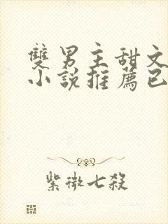 双男主甜文短篇小说推荐已完结封面