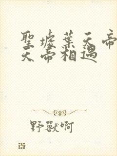 圣墟叶天帝和荒天帝相遇