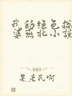 我的绝色总裁老婆燕北小说