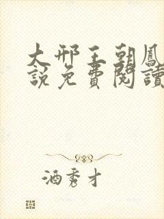 大邢王朝凤卿小说免费阅读封面