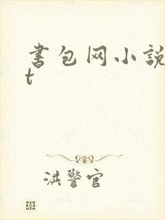 书包网小说txt封面