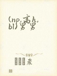 (np,高h,bl)男男封面