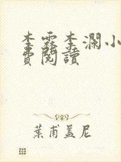 李霖李澜小说免费阅读封面